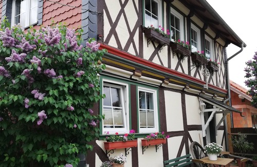 Ilsenburg Apartment | Apartment in the historic half-timbered house on the beautiful Harz