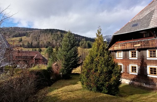 St. Blasien Apartment | Apartment in the Bachrainhof