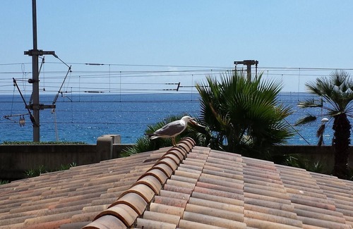 Cannes La Bocca Apartment | APARTMENT IN THE RIVER TO THE SEA IN CANNES