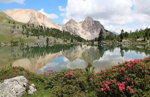 Mareo Apartment | Apartment Alpine Mountain Chalet in San Vigilio/St Vigil - 6 persons, 2 bedrooms