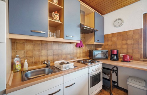 Schonach im Schwarzwald Apartment | Apartment 'Karin' with Lake View and Balcony