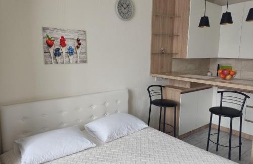 Solomjanskyj Apartment | Apartment Kiev Studio with city view