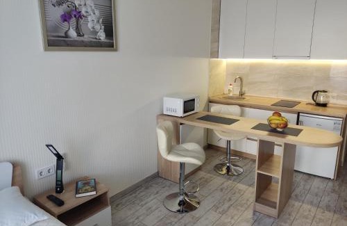 Solomjanskyj Apartment | Apartment Kiev Studio with city view