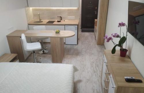 Solomjanskyj Apartment | Apartment Kiev Studio with city view