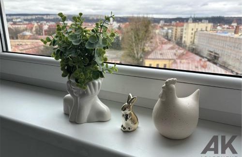 Kosice Old Town Apartment | Apartment Kuzmany