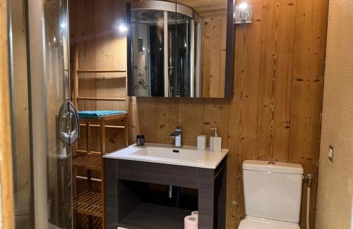 Chamonix City Centre Apartment | Apartment l'Aiguille, au pied des télécabines