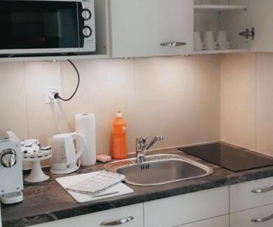 Unterseen House | Apartment Lala
