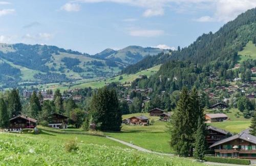 Zweisimmen Nr Gstaad Apartment | Apartment Les Silenes by Interhome
