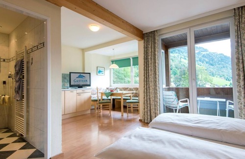 Bad Hofgastein Bed & Breakfast | Apartment/living room/shower, WC - Friedrichsburg