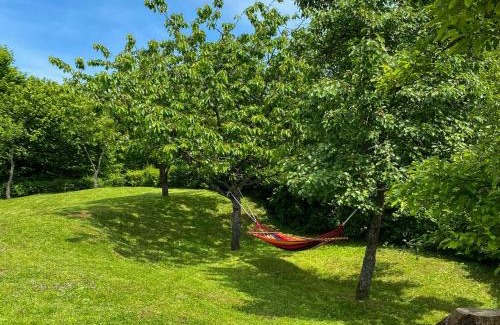 Brod Moravice Apartment | Apartment Maklen-2 by Interhome