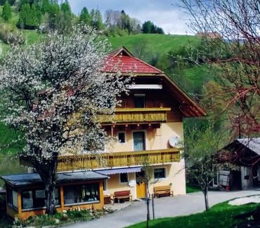 Arriach Apartment | Apartment MASCH