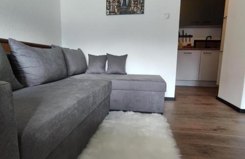 Hippach Apartment | Apartment Mayrhofen near Horbergbahn
