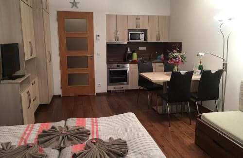 Spindleruv Mlyn Apartment | Apartment Medvědín 87