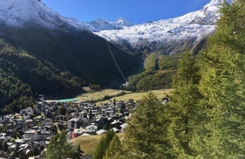 Saas-Fee Apartment | Apartment Mikado by Interhome