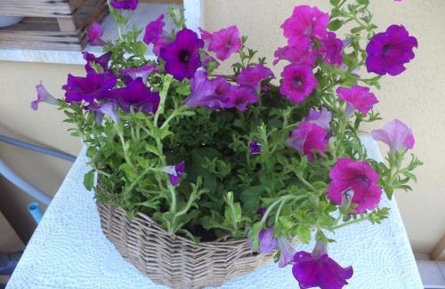 Montecatini Terme Apartment | Apartment Montecatini-Terme near Firenze, Lucca, Pisa