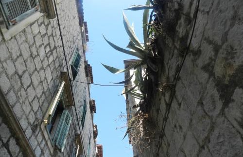 Split Apartment | Apartment Nika