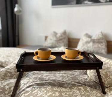 Litomerice Apartment | Apartment No. 1