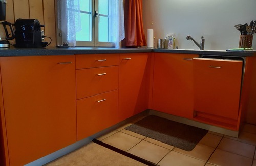 Gadmen Apartment | Apartment on the farm
