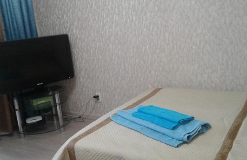 Rodina Apartment | Apartment on Vladimirskaya 9
