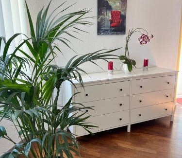 Central Interlaken Apartment | APARTMENT PETER