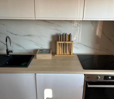 Zagreb Apartment | Apartment Pius Zagreb with the garage