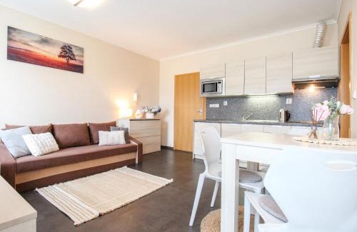 Harrachov Apartment | Apartment Resident Harrachov B-1 by Interhome