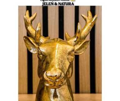 Jarkow Apartment | Apartment Roku 2024 - JELEŃ & NATURA