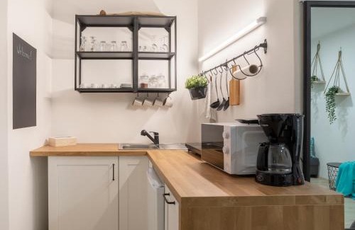 Solkan Apartment | APARTMENT SAPICA