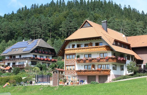 Elzach Apartment | Apartment 'Schlössle, 22 sqm' with Shared Terrace, Shared Garden and Wi-Fi