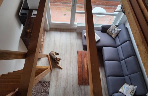 Schonberger Strand Apartment | Apartment Seebrücke Schönberger Strand, bright and friendly, dog is welcome