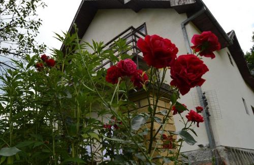 Mokra Gora Apartment | Apartment Sijakovic