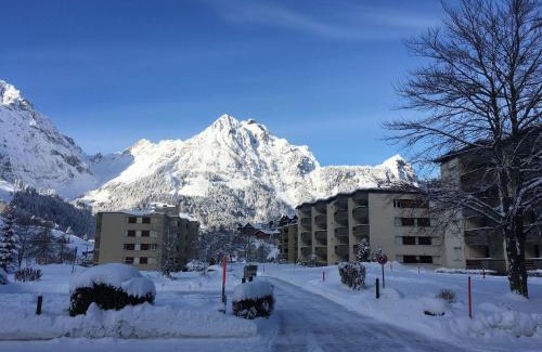 Engelberg Apartment | Apartment Sunnmatt Süd Wohnung 245 by Interhome