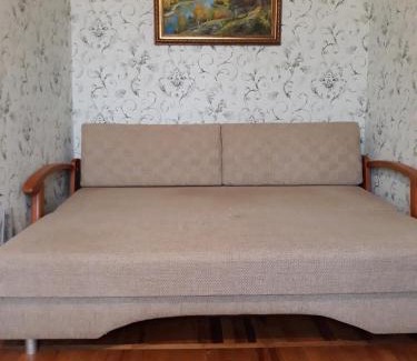 Dniprovs'kyi District Apartment | Apartment Telbin