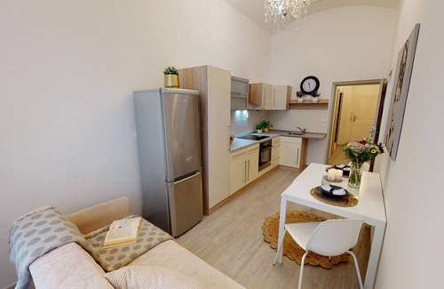 Karlin Apartment | Apartment "The Viaduct of Karlín" 3 minutes from metro Florenc , family-friendly