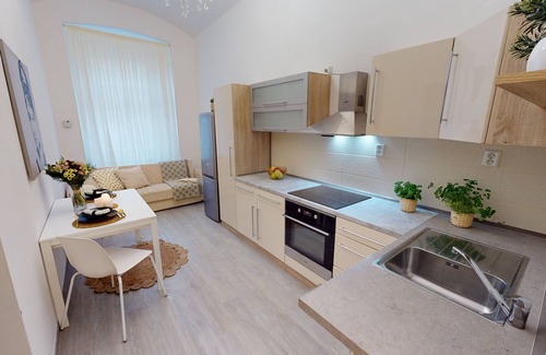Karlin Apartment | Apartment "The Viaduct of Karlín" 3 minutes from metro Florenc , family-friendly