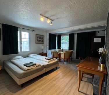 Gwatt Apartment | Apartment Thun - Lake view