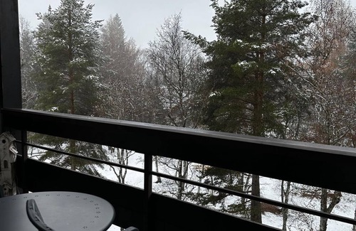 Seefeld in Tirol Apartment | Apartment TYPE II - A28 - Apartment house Birkenwald