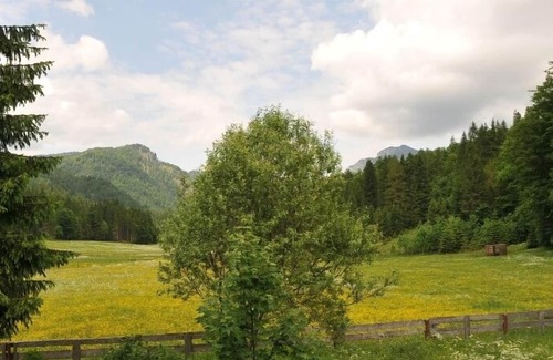 Reit im Winkl Apartment | Apartment with a view of nature