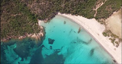 Pinarellu Apartment | Apartment with air conditioning 4 people 500 m sea near Porto Vecchio