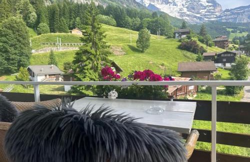 Wengen Apartment | Apartment with great view at Residence Brunner