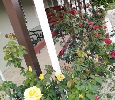 Eleios-Pronnoi House | Apartment with private pool for rent in Tzanata Kefalonia