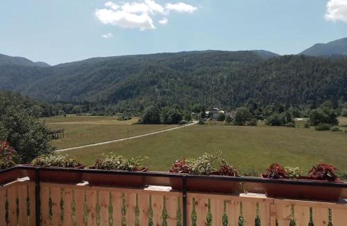 Bohinj Apartment | APARTMENT WITH A VIEW