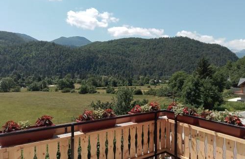 Bohinj Apartment | APARTMENT WITH A VIEW