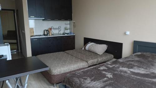Magnetiti Apartment | Apartment Zhemchuzhina Ureki-3 СТУДИО