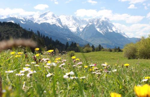 Muhldorfl Apartment | Apartment Zugspitz