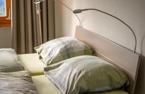 Riederalp Apartment | Apartment Zurschmitten 11 2- UG Süd by Interhome