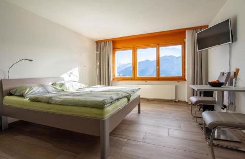 Riederalp Apartment | Apartment Zurschmitten 11 2- UG Süd by Interhome