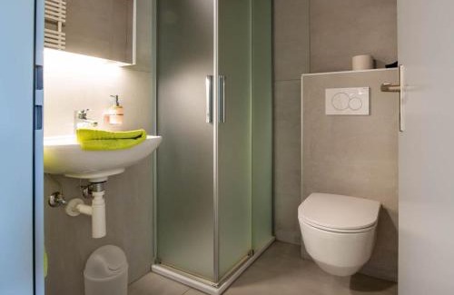 Riederalp Apartment | Apartment Zurschmitten 11 2- UG Süd by Interhome