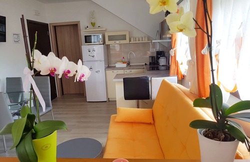 Seliste Dreznicko Apartment | Apartments and rooms Dragica, (16215), Selište Drežnicko, hr