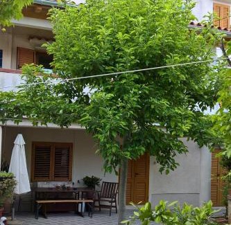 Nerezine House | Apartments and rooms with parking space Nerezine, Losinj - 8049